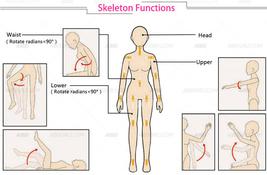 Handsome Men 140cm Realistic Life Size Love Doll Silicone Women Gay Sex Masturbator Adult Male Sex Doll produced by AutomaticWoman